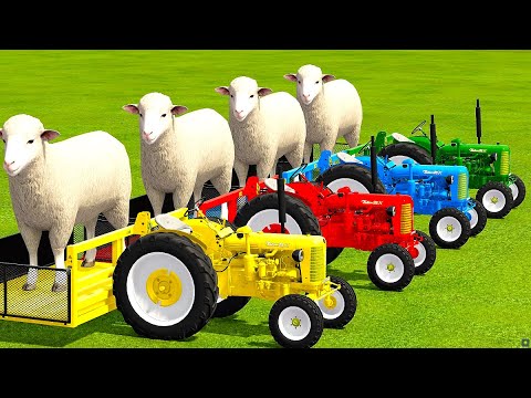 MINI TRACTORS OF COLORS ! TRANSPORTING SHEEP WITH TRACTOR !    Farming Simulator 22 !