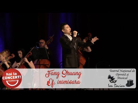 Fang Shuang - Of, inimioara