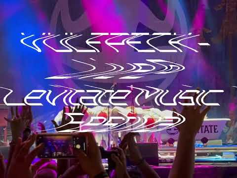 Vulfpeck Highlights from Levitate Music Festival 2022