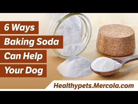 How to Use Baking Soda for Your Dog