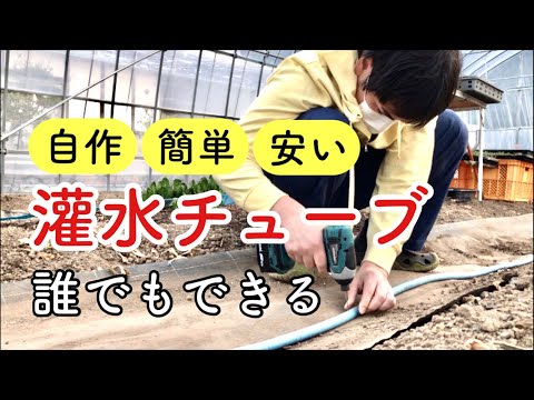 自家製DIY点滴灌漑2022の設置方法