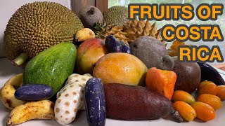 FRUITS OF COSTA RICA - Best Tropical Fruits We Eat and Plant - Durian Cupuassu Mangosteen Rollinia