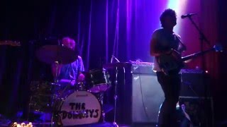 The Donkeys - Ride the Black Wave – Live in San Francisco