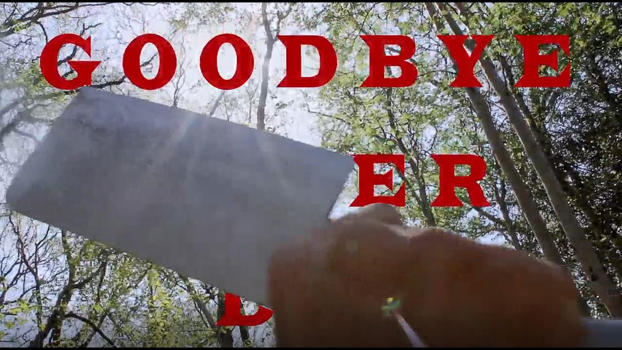 Goodbye Sober Day - Music Video (fanmade)