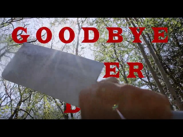 Goodbye Sober Day - Music Video (fanmade)