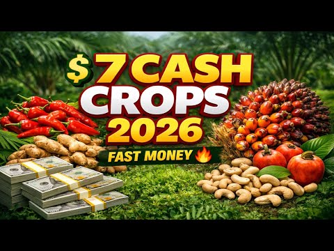 7 Profitable Cash Crops to Grow in 2026 (High Demand, Fast Money)