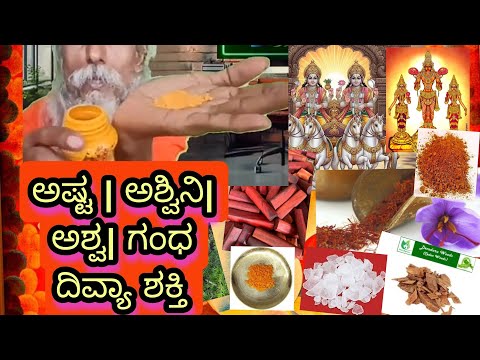 Asta Ashwini ashva gandha dhravya homa yajna yaga yoga Sandhya Chaya Surya Brahma Vishnu Shiva Shakt