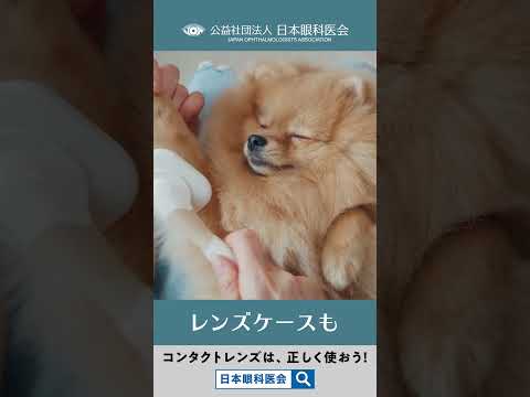 医療用途向けのスマートコンタクトレンズが間もなく市場に投入される可能性がある