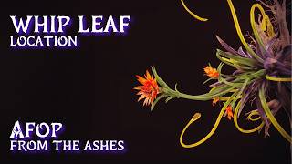 Whip Leaf Location • AFOP From the Ashes