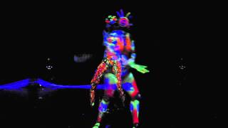 preview picture of video 'Maskerade 2012 - Black Light Performance'