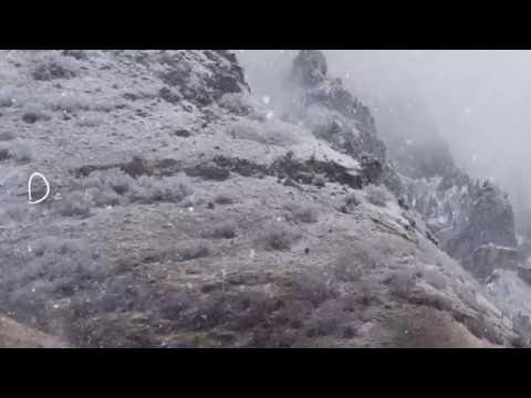 LETZTE INSTANZ - Weiß Wie Der Schnee (2016) // Official Lyric Video // AFM Records