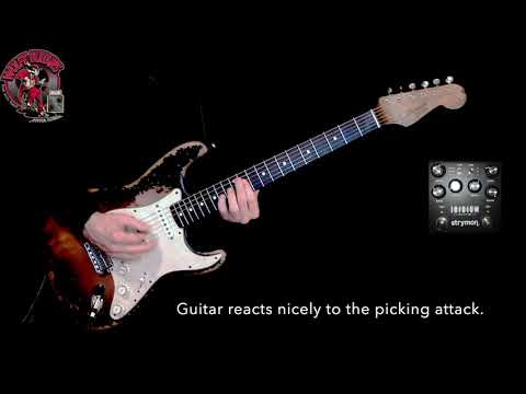2019 Rittenhouse S Model Stratocaster Sunburst 6 lbs! with Video
