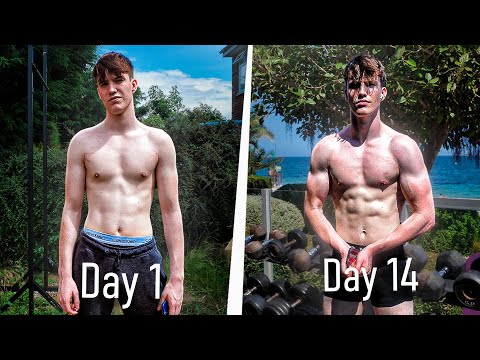 I Went On A 2 Week Mini Cut