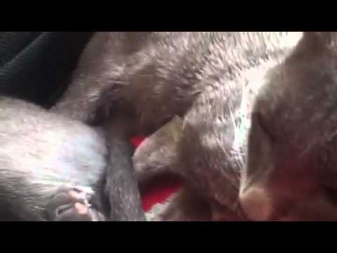 Saothai and Jaydee relaxing