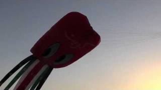 preview picture of video 'we start our kites festivals Nov. 2010 ( kuwait kites team )'