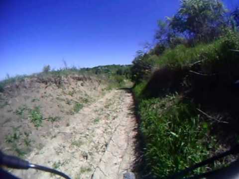 downhill marginea padurii