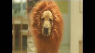 Amazon Commercial - Wonderful! -  Arielle Paul - You and Me