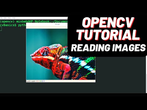Opencv Tutorial Part 1 Reading Images Using Python With Code