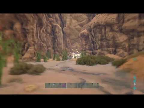 Xbeast_monsterz  ark met de boys    dag 31 van de grind