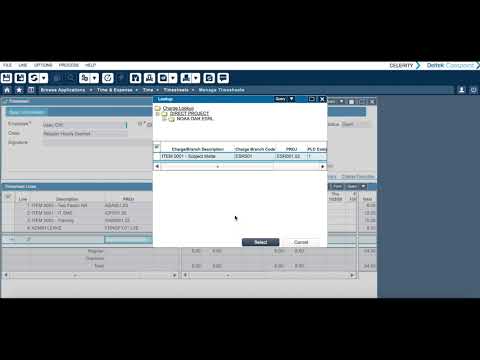 Deltek Time Login Timesheet