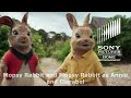 Peter Rabbit And Friends Calling All Animals T F CAE Cast Video