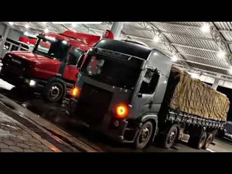 Indo carregar abacaxi 🍍, Pau D’arco - Tocantins