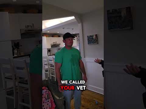 Featured testimonial video preview