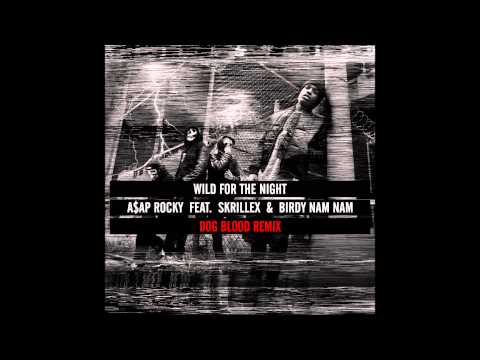 A$AP ROCKY - WILD FOR THE NIGHT (DOG BLOOD REMIX)
