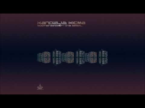 Kandžija -  Kičma (RootsInSession DNB Remix)