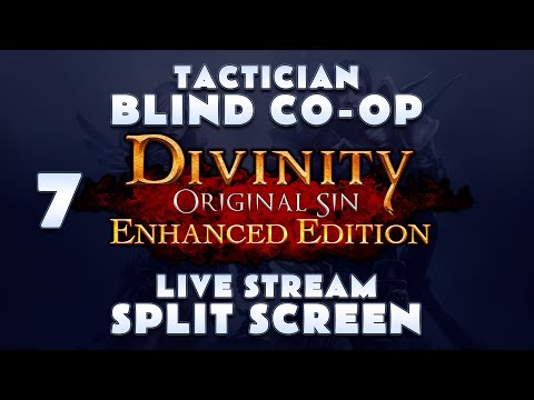DIVINITY ORIGINAL SIN ENHANCED EDITION | BLIND CO-OP SPLITSCREEN STREAM | PART 7