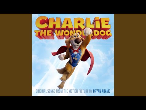 Charlie The Wonderdog