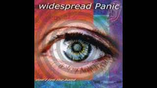 Widespread Panic - Little Lily