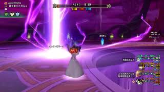 ドラゴンクエストXプレイ日誌りゅうおうき他プレイ