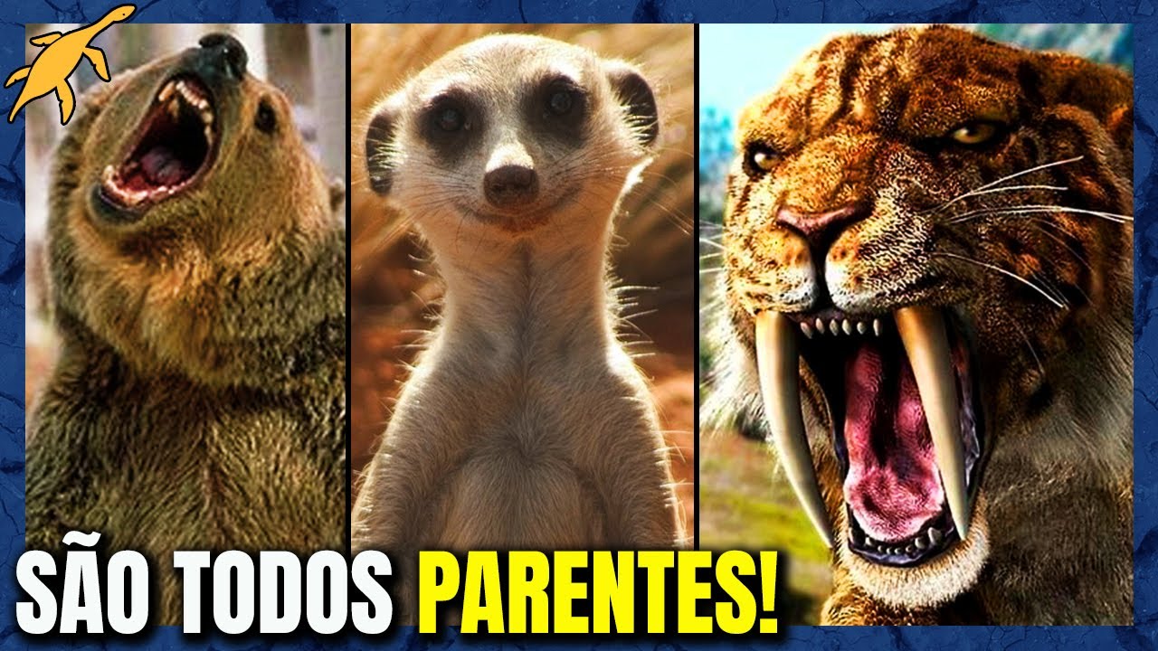 ORIGEM E EVOLUÇÃO DOS MAMÍFEROS CARNÍVOROS (Ordem Carnivora)