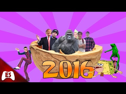 2016 in a Nutshell (Every Meme/Trend of 2016)
