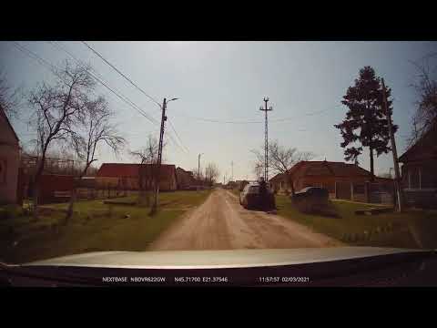 Albina, Timiș, România [2021] | 4K