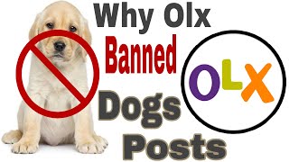 Why Olx Stop Dogs Breeding & puppy Buying & Selling posts in Hindi/olx frod/new updates olx