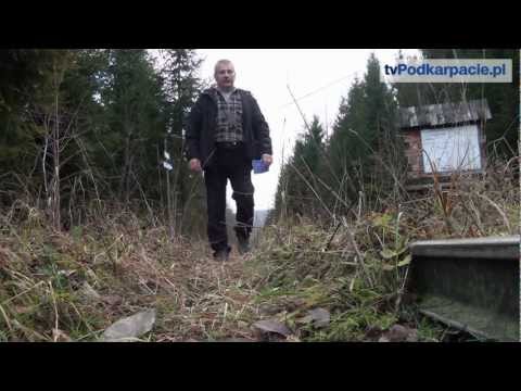 Bieszczady stawiają na narciarstwo biegowe - tvPodkarpacie.pl