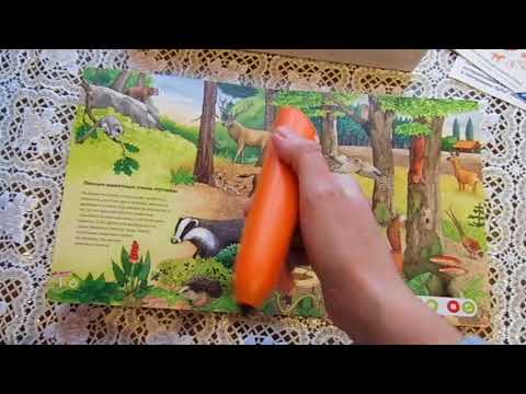 Стартовый набор "Энциклопедия животных в картинках" Tiptoi