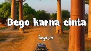 Download lagu BEGO KARNA CINTA mp3 Download lagu BEGO KARNA CINTA mp3