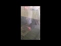 Video abspielen