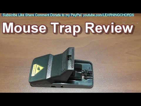 Mouse Trap by Feeke Mice Traps Awesome Trap MY Favorite Mouse Trap REVIEW