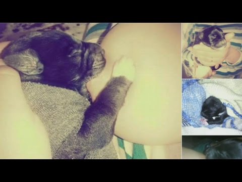 La historia de la mujer que amamantó un cachorro