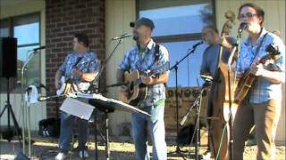 Cold Black Train - Wildwood Bluegrass Band