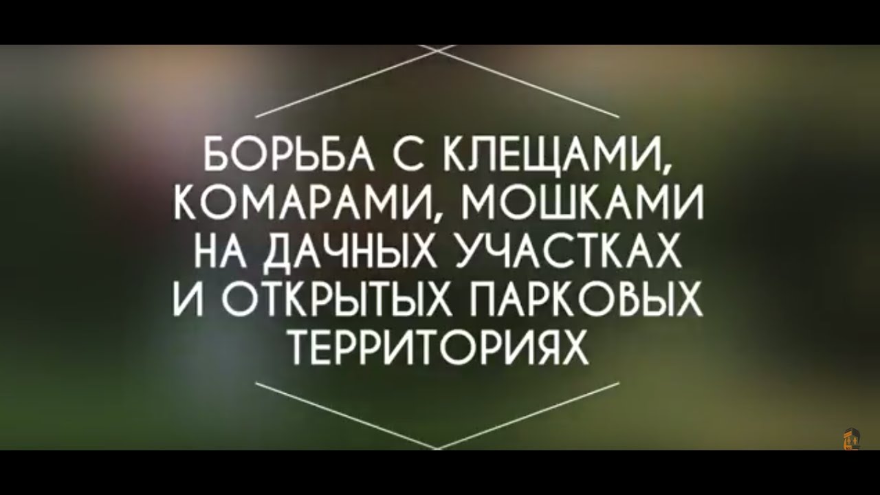 Борьба с клещами, комарами, мошками на дачных участках и открытых парковых территориях