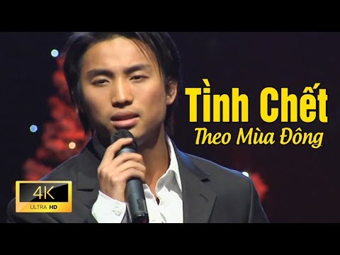 TÌNH CHẾT THEO MÙA ĐÔNG