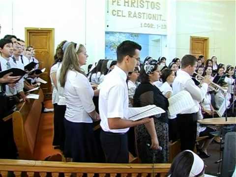 In mijlocul laudelor - Cisnadie