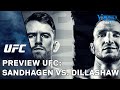 UFC: Sandhagen vs. Dillashaw Preview