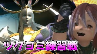 【FF14】マクロ持参で挑んだが全然解読出来なかった幻ツクヨミ練習戦【ゆっくり】