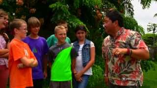 PBS Hawaii - HIKI NŌ Episode 502 | Kainalu Elementary School | Alan Nagao: Yo-yo Man